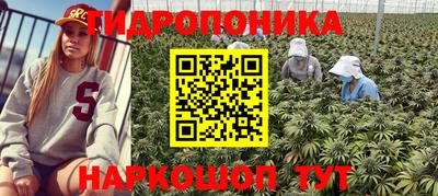 синтетический гашиш Будённовск