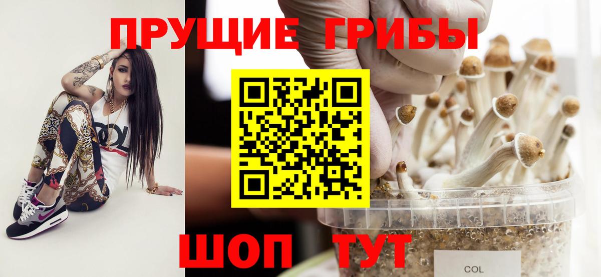 Псилоцибиновые грибы MAGIC MUSHROOMS  Галлюциногенные грибы Cubensis  Ханты-Мансийск  Вход с VPN 